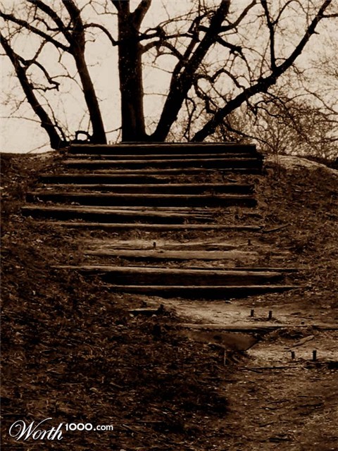 Photography by bareeska