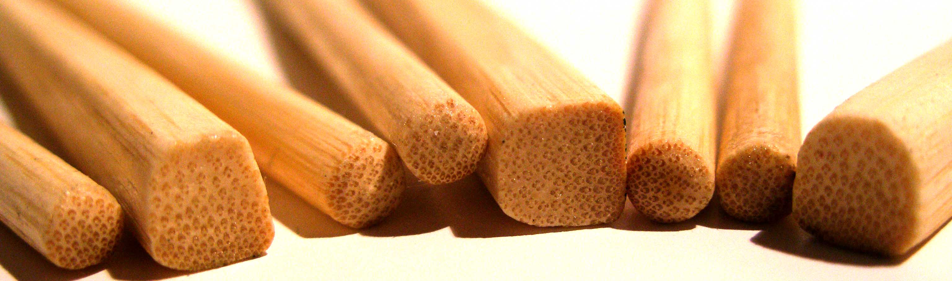 Fotografie von Chupakabra für DesignCrowd (Community Contests) | Design #9090229