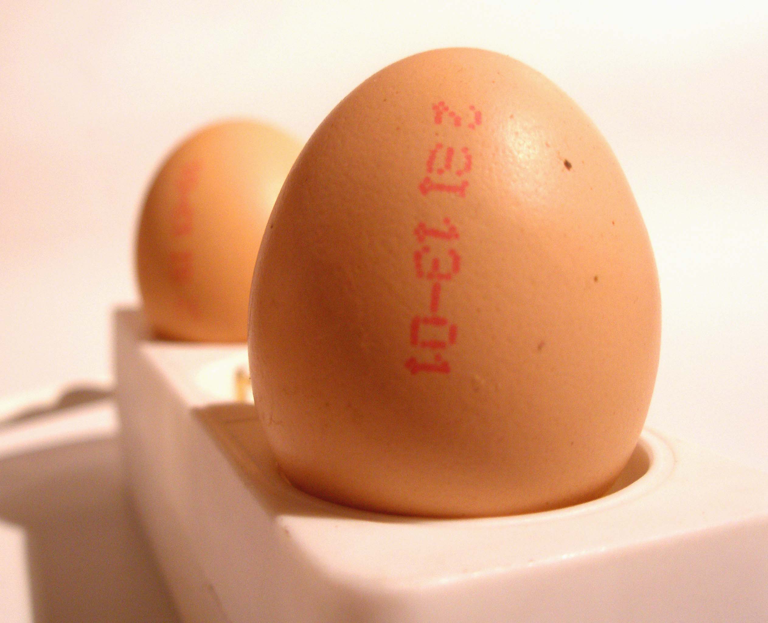 Fotografie von Chupakabra für DesignCrowd (Community Contests) | Design #9085435