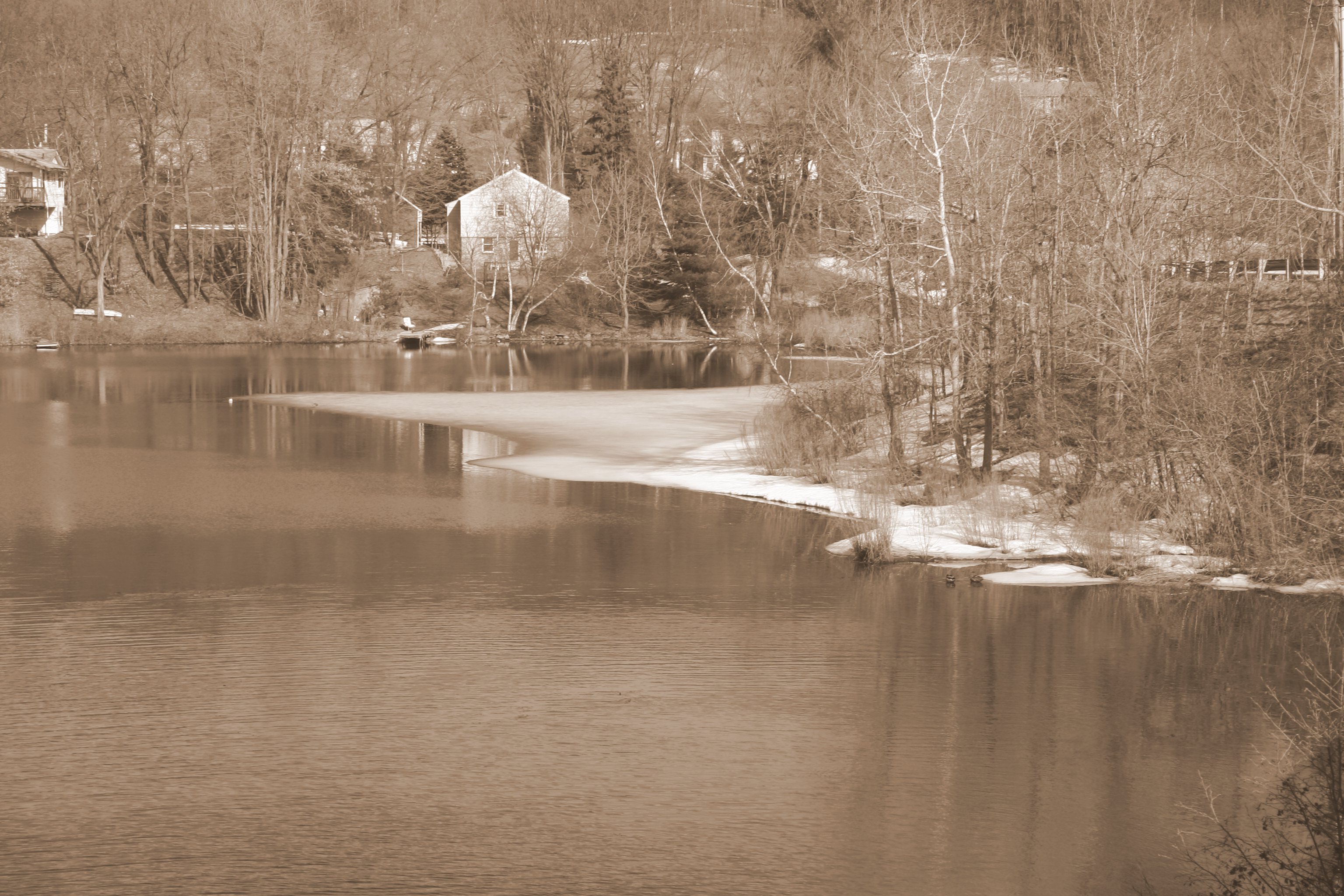 Photography by hailpurdue for DesignCrowd (Community Contests) | Design #9083162