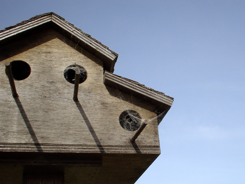 Photographie par Resalg pour DesignCrowd (Community Contests) | Design #9090222