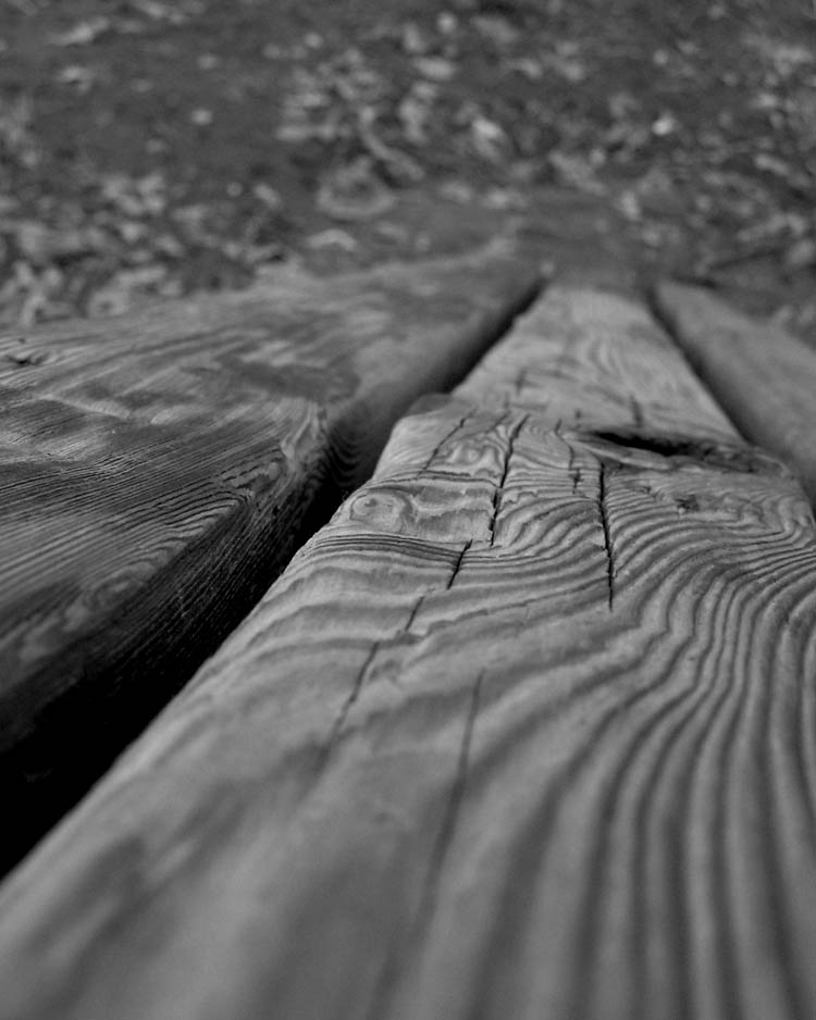 Photographie par koshermonkey pour DesignCrowd (Community Contests) | Design #9090256