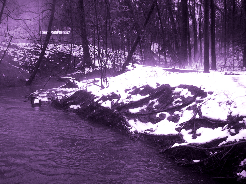 Photography by Loladiggles for DesignCrowd (Community Contests) | Design #9083102