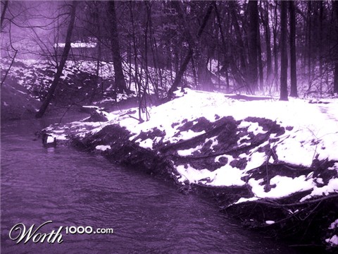 Photography by Loladiggles