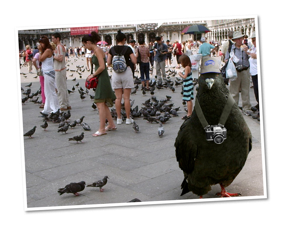 Photoshop-Design von osbornej76 für DesignCrowd (Community Contests) | Design #9083905