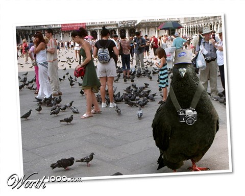 Photoshop Design by osbornej76