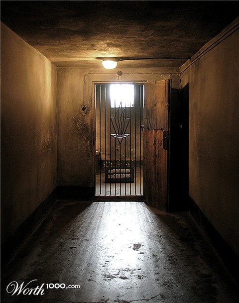 Photography by molusco