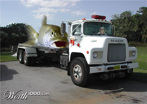 Photoshop Design by altffour