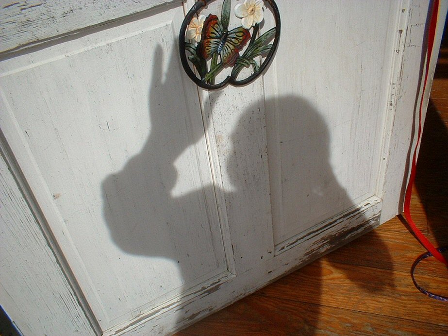 Photography by angel2kiss for DesignCrowd (Community Contests) | Design #9090246