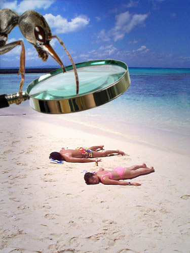 Photoshop Design by BonnieC for DesignCrowd (Community Contests) | Design #9083983