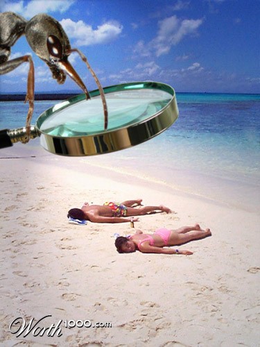 Photoshop Design by BonnieC