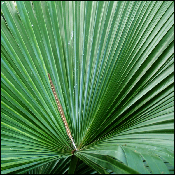 Photography by zensoul for DesignCrowd (Community Contests) | Design #9082957