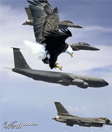 Photoshop Design by strown