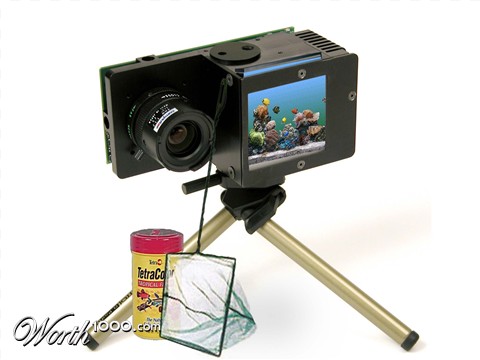 Photoshop Design by Mupshur