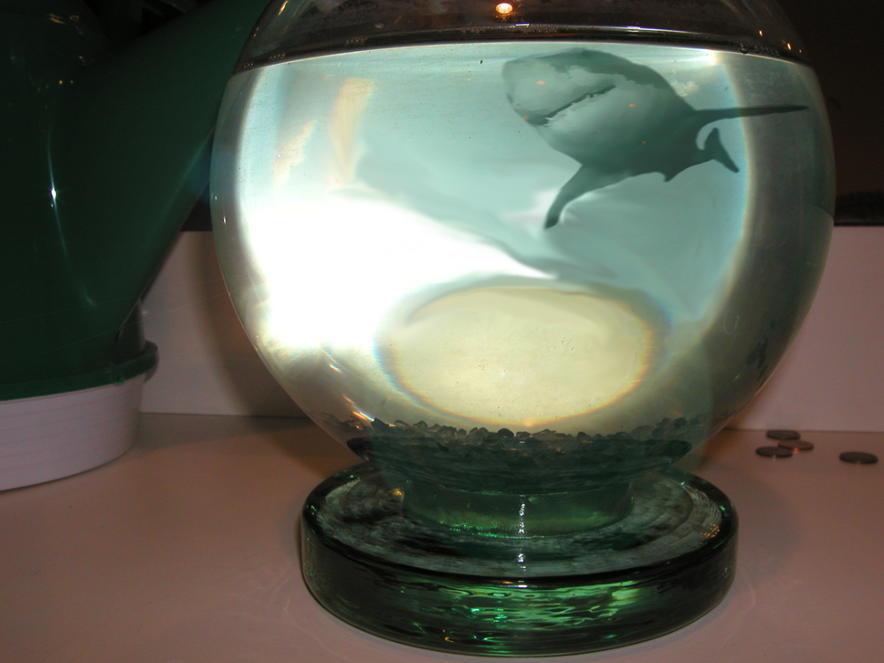 Diseño de Photoshop por jeffbrastile para DesignCrowd (Community Contests) | Diseño #9084051