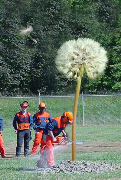 Photoshop Design by Ron Miller for DesignCrowd (Community Contests) | Design #9084056