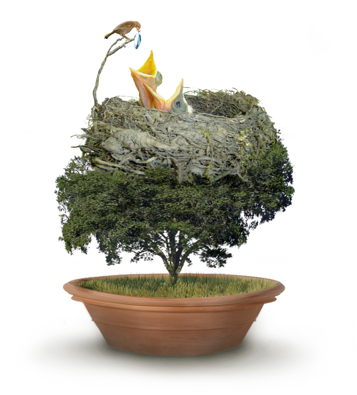 Photoshop Design by TIOCHICO for DesignCrowd (Community Contests) | Design #9084182