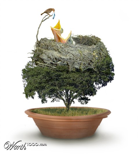 Photoshop Design by TIOCHICO