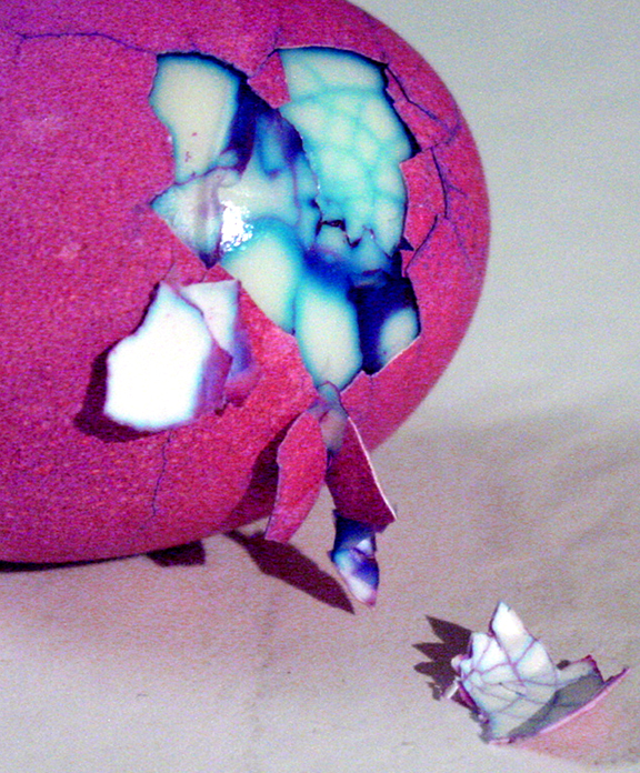 Photography by mysterio for DesignCrowd (Community Contests) | Design #9085504