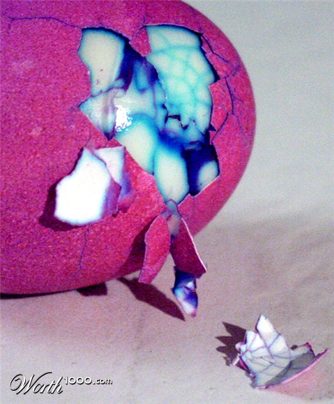 Photography by mysterio