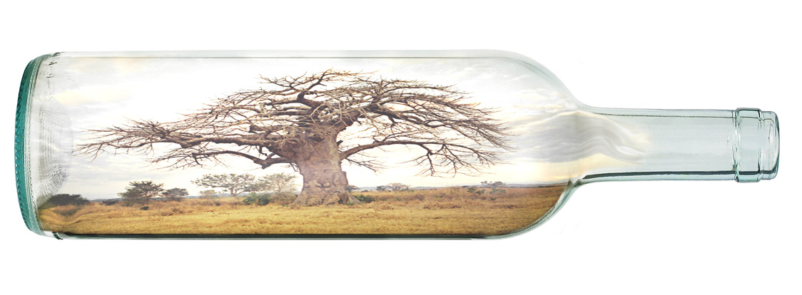 Photoshop Design by asmorod for DesignCrowd (Community Contests) | Design #9084088