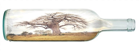 Photoshop Design by asmorod