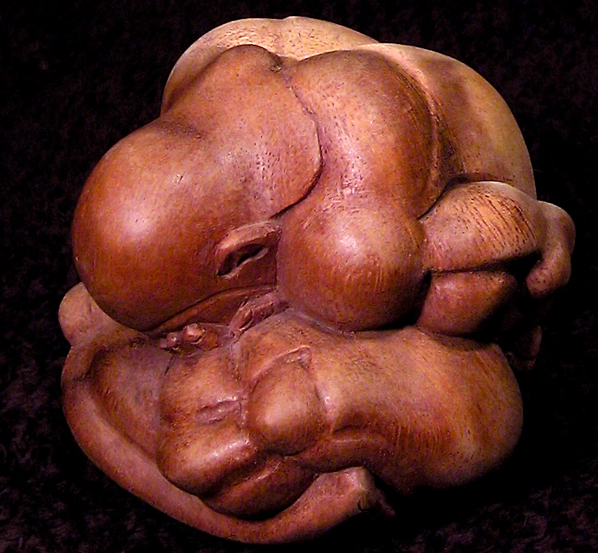 Photography by DFragXD for DesignCrowd (Community Contests) | Design #9090300