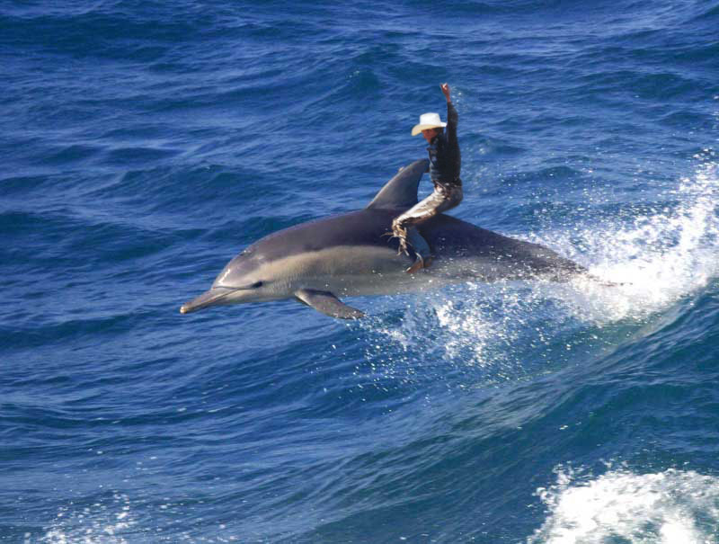 Photoshop Design by ozplasmic for DesignCrowd (Community Contests) | Design #9084165