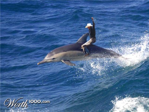 Photoshop Design by ozplasmic