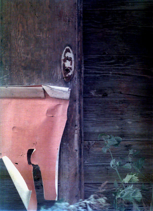 Fotografía por lahgon para DesignCrowd (Community Contests) | Diseño #9090323