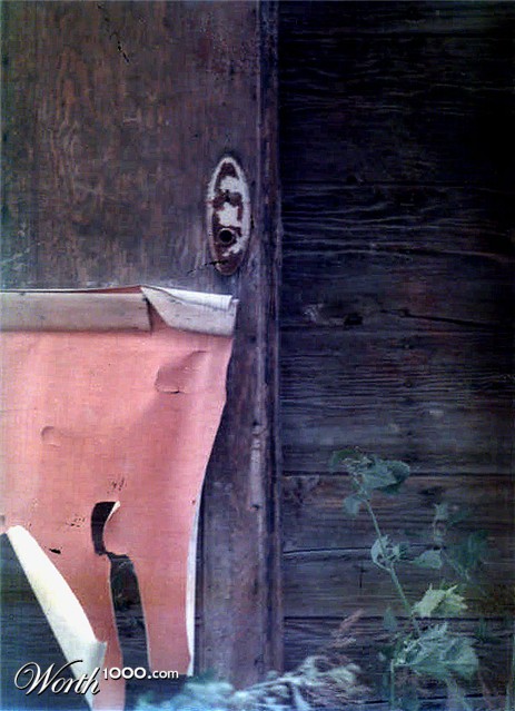 Photography by lahgon