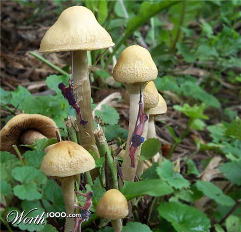 Photoshop Design by 9bluedragons