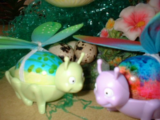 Photography by angel2kiss for DesignCrowd (Community Contests) | Design #9085495