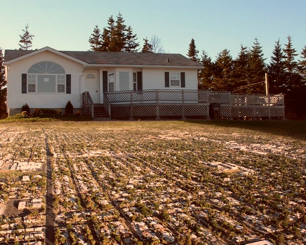 Photoshop Design by Imaginakcja for DesignCrowd (Community Contests) | Design #9084159