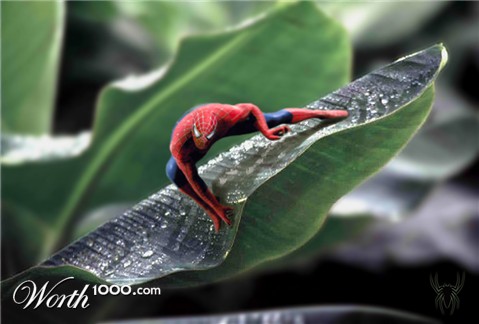 Photoshop Design by margin