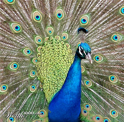 Photography by shutter123