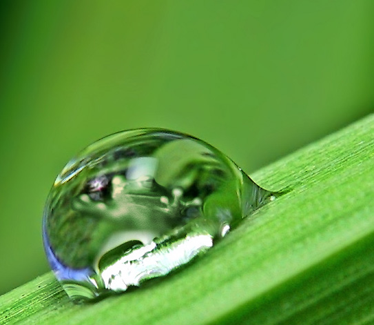 Photoshop Design by Monkeyknife for DesignCrowd (Community Contests) | Design #9084074