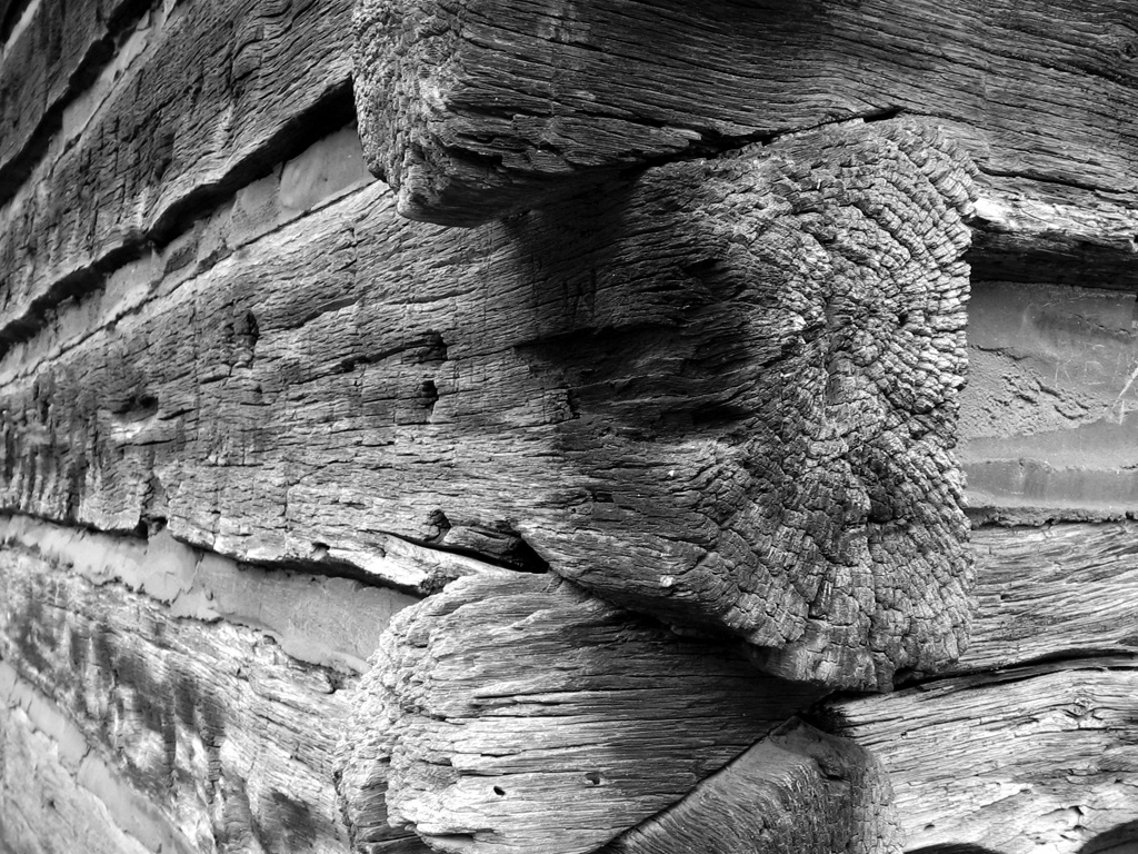 Photography by afelice for DesignCrowd (Community Contests) | Design #9090332