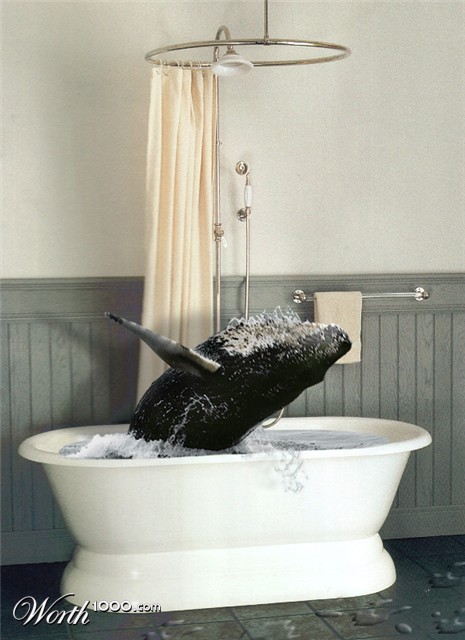 Photoshop Design by chairforce