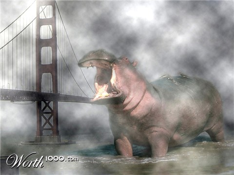 Photoshop Design by eduj65