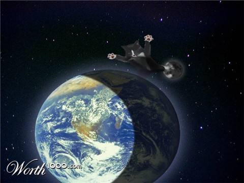 Photoshop Design by Spaztik06