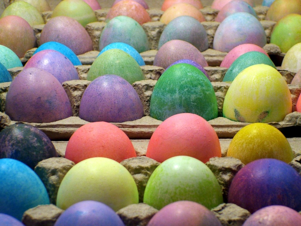 Fotografía por mmc9496 para DesignCrowd (Community Contests) | Diseño #9085491