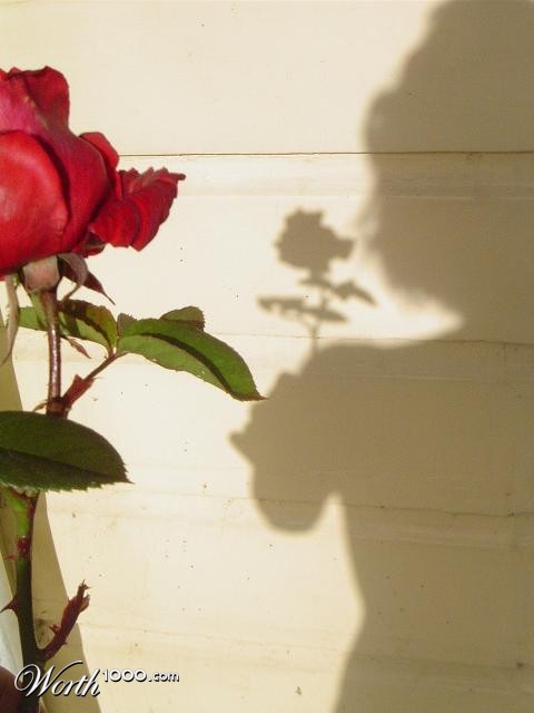 Photography by chicka02
