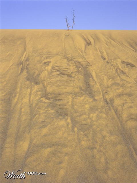 Photography by SamHuibers