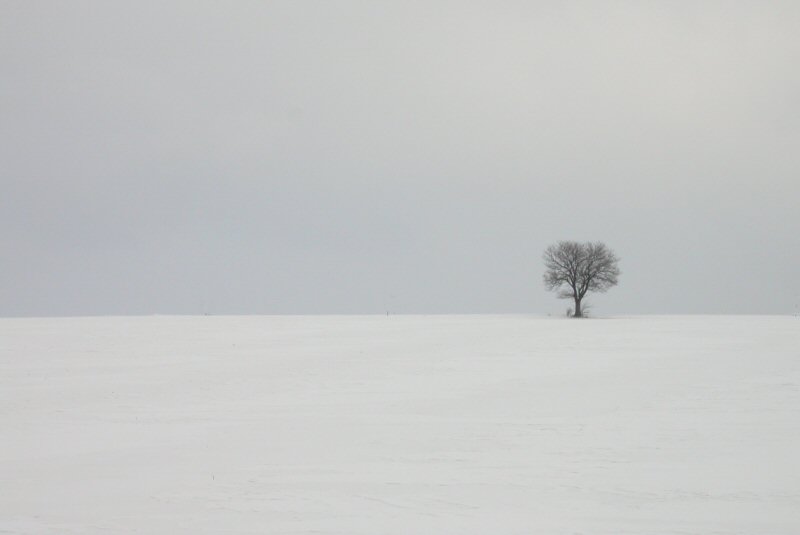 Fotografía por Sapperlott para DesignCrowd (Community Contests) | Diseño #9085722