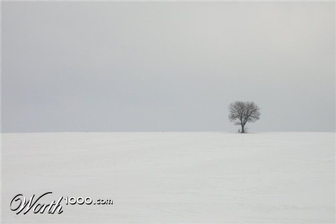 Photography by Sapperlott