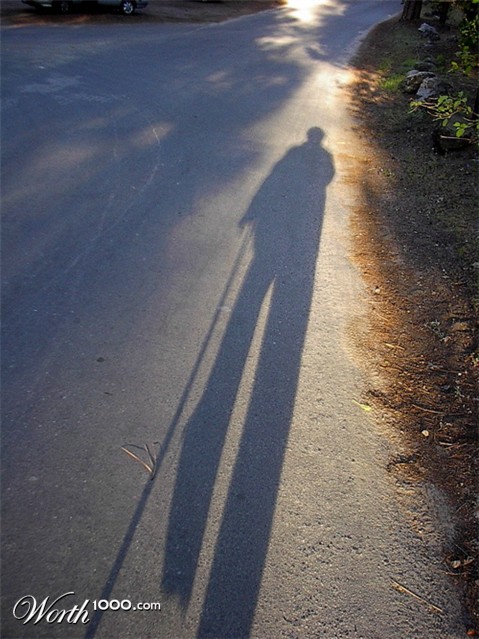 Photography by donzee