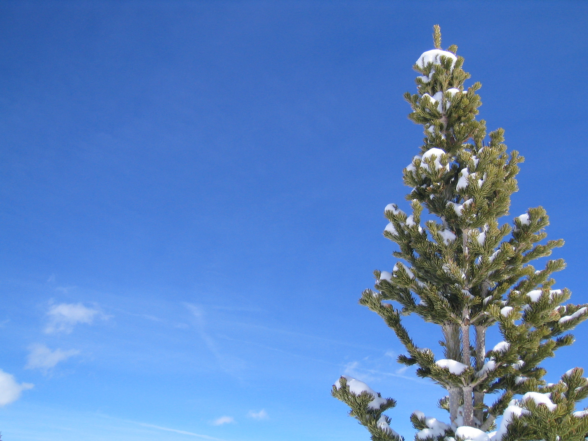 Photography by boote67 for DesignCrowd (Community Contests) | Design #9085757