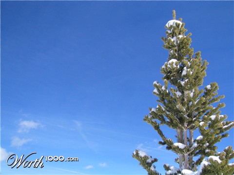 Photography by boote67