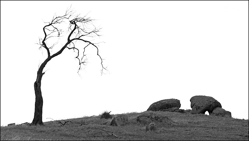 Fotografie von smylie für DesignCrowd (Community Contests) | Design #9085764